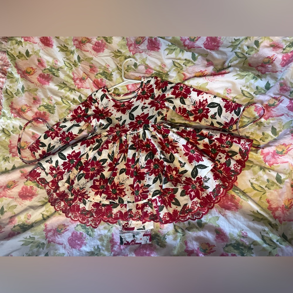 Sweet Honey poinsettia Belle bubble